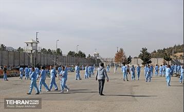 بازدید خبرنگاران از مجموعه تربیتی«یاور شهر ۹» 8