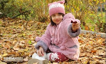 گذرگاه های پاییزی پایتخت - منطقه 13