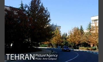 شهرک صدرا 19