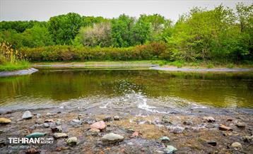 باغ گیاه‌شناسی 6