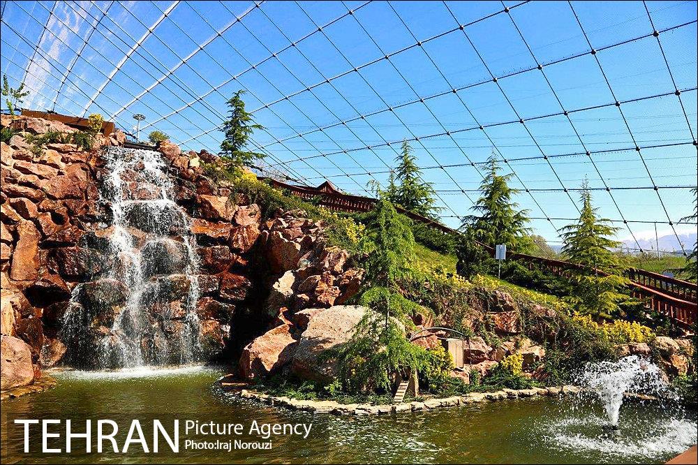 فصل بهار در بوستان های منطقه 4 8