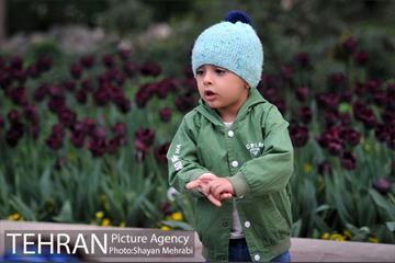 باغ ایرانی (بوستان مهندس مختاری) 13