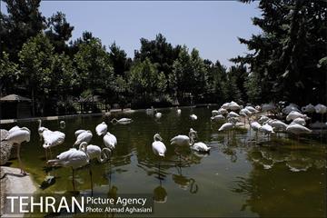 باغ پرندگان تهران 22