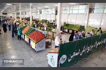 تور بازدید از میادین و بازارهای میوه و تره‌بار شهرداری تهران 32