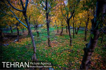 طبیعت پاییزی روستای سنگان 64