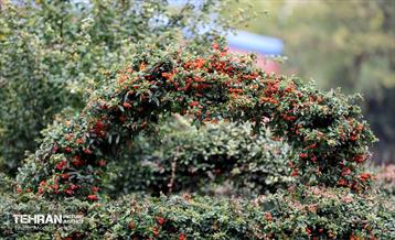 یک روز بارانی در منطقه 19 4