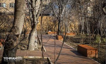 باغ گلاریس 10