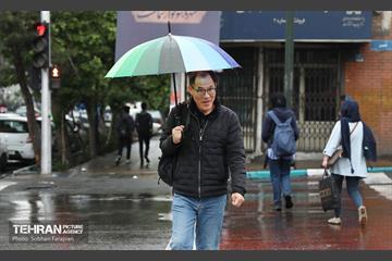 بارش باران بهاری در تهران - 1 8