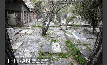 گورستان ظهیرالدوله 5