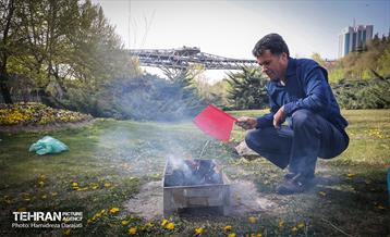 روز طبیعت در پارک ساعی و حاشیه اتوبان مدرس  3