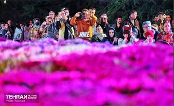 برپایی دهکده بهار ایران در بوستان ملت 4