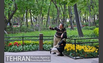 باغ ایرانی (بوستان مهندس مختاری) 41