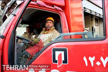 دومین روز نبرد با آوار پلاسکو -2 19