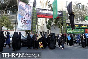 پیاده روی خانوادگی نازی آبادی ها 1