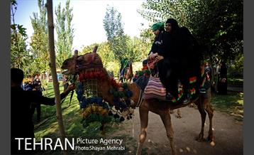 حرکت نمادین کاروان اُسرای کربلا در ده ونک 4