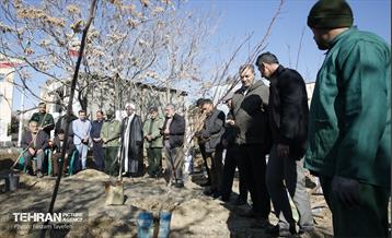 آیین کاشت 1310 نهال در منطقه 5 31