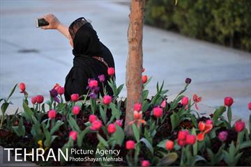 برج میلاد میزبان لاله های بهاری و تخم مرغ های رنگی 27