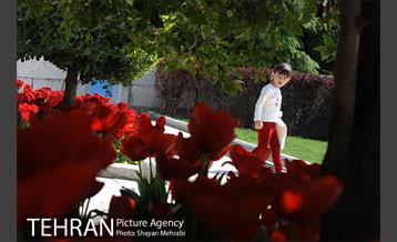 رویش گل های لاله در بوستان گفتگو 9