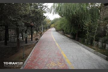 طبیعت پاییزی باغ راه فدک تهران 1