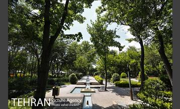 باغ ایرانی 23