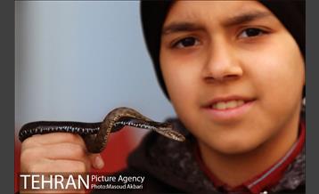 بازار امام زاده حسن در آستانه عید نوروز 4