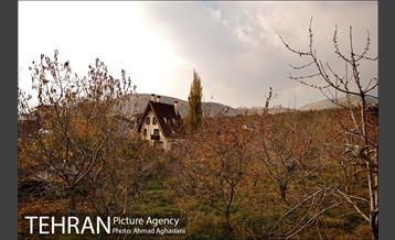 پاییز طلایی روستای افجه 4