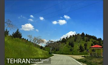 فصل بهار در بوستان های منطقه 4 13