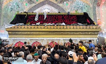 حرم مطهر امام علی (ع) در آستانه اربعین حسینی 30