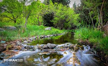 باغ گیاه‌شناسی 2