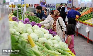 بازار میوه و تره‌بار مرواردید 23