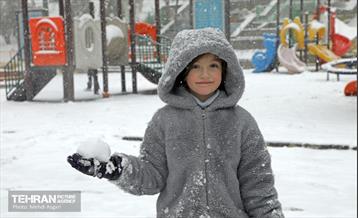 بارش برف زمستانی در منطقه ۲ 29