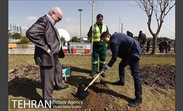 آیین کاشت درخت صلح و دوستی 42