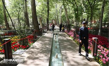 باغ ایرانی میزبان لاله‌ها 7