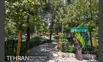 بوستان شفق 29