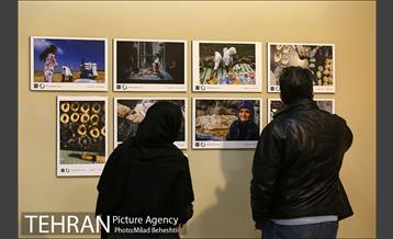 سومین دوره مسابقه عکس خوشه 13