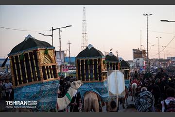 کاروان نمادین اسرای کربلا در مسیر طویریج  19