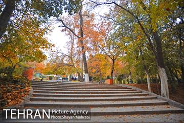 پاییز در پارک های تهران 21