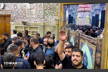 حرم مطهر امام علی (ع) در آستانه اربعین حسینی 7