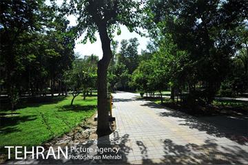 بوستان هفت چنار 6