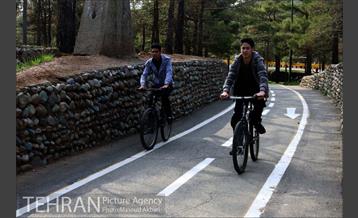 دوچرخه سواری در پارک چیتگر