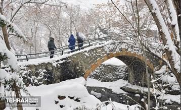 بارش برف زمستانی در منطقه 1 10