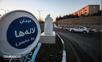 آیین رونمایی از المان مادر شهید 8