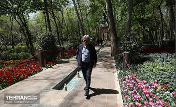 باغ ایرانی میزبان لاله‌ها 55