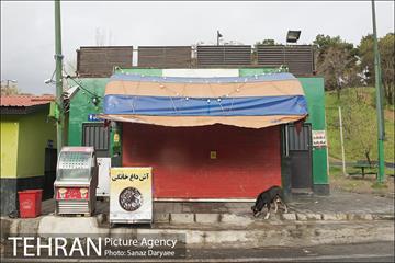 تعطیلی بوستان جنگلی سرخه حصار به منظور پیشگیری از شیوع ویروس کرونا 13