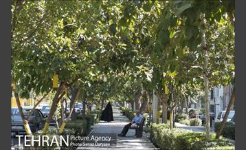 محله دردشت‎ 2