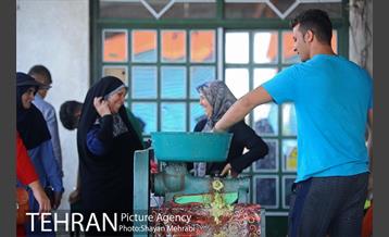 بازار میوه تربار مرکزی 15