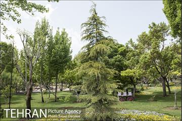 بوستان آزادگان 10