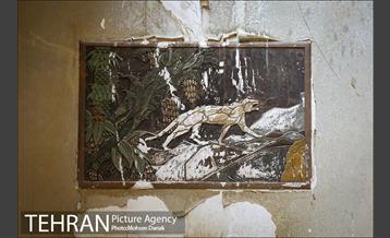 تاریخ رها شده 15