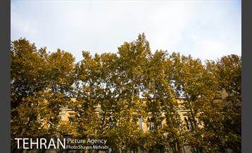 پاییز میدان مشق (سر در باغ ملی) 5