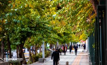 سمفونی رنگ های پاییزی  5